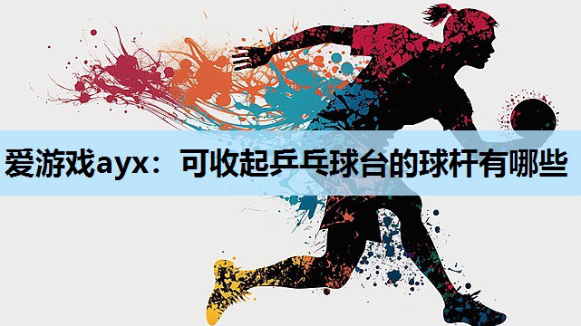 爱游戏ayx：可收起乒乓球台的球杆有哪些