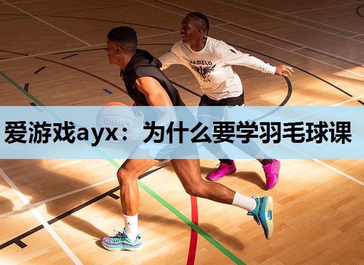 爱游戏ayx：为什么要学羽毛球课