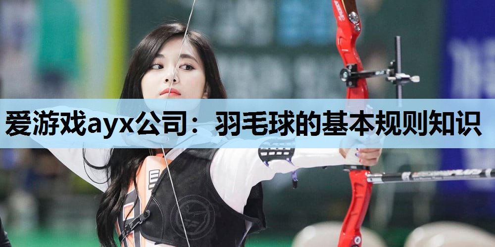 爱游戏ayx公司：羽毛球的基本规则知识