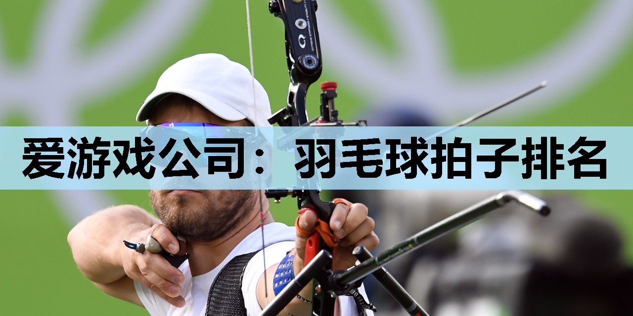 爱游戏公司：羽毛球拍子排名