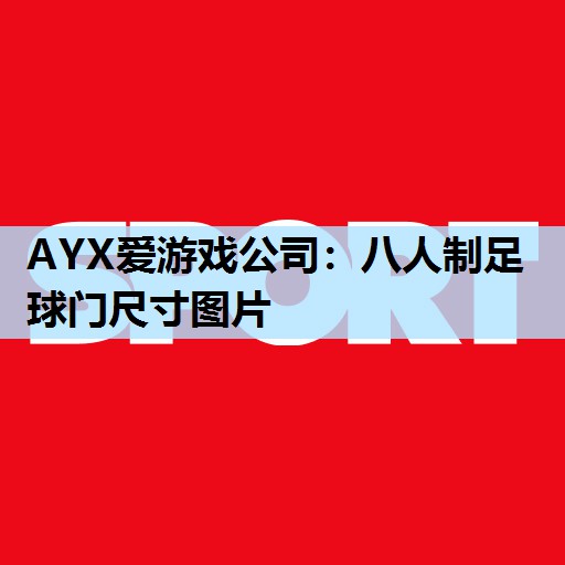 AYX爱游戏公司：八人制足球门尺寸图片
