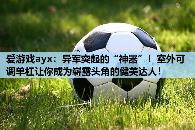 爱游戏ayx：异军突起的“神器”！室外可调单杠让你成为崭露头角的健美达人！