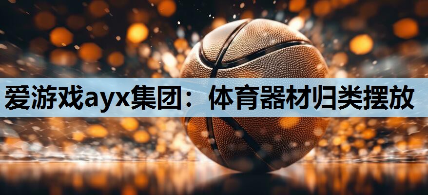 爱游戏ayx集团：体育器材归类摆放