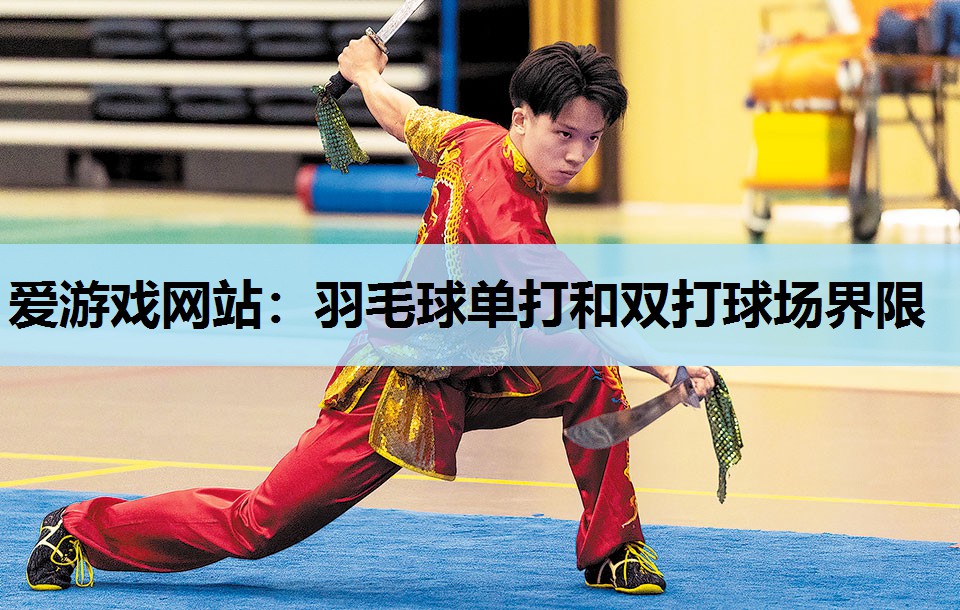 羽毛球单打和双打球场界限 羽毛球单打和双打球场界限