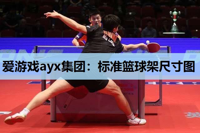 标准篮球架尺寸图 标准篮球架尺寸图