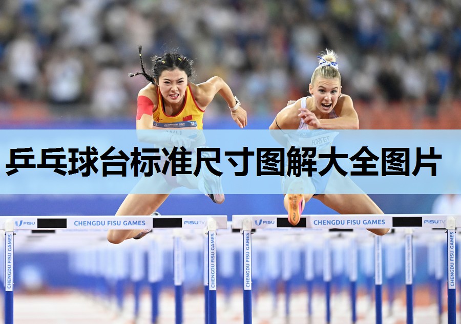 乒乓球台标准尺寸图解大全图片 乒乓球台标准尺寸图解大全图片